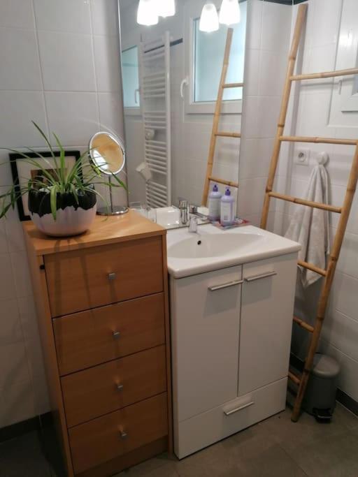 Balcons Du Royans.Logement Entier Piscine 圣·让恩·罗亚恩斯 外观 照片