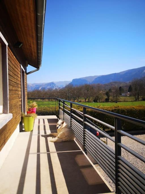 Balcons Du Royans.Logement Entier Piscine 圣·让恩·罗亚恩斯 外观 照片